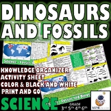 SCIENCE Fossils and Dinosaurs Knowledge Organizer and Acti