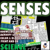 SCIENCE: Human Senses - Sight, sound, touch, taste, smell 