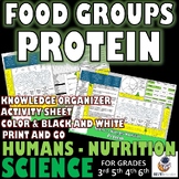 SCIENCE: Humans Nutrition Proteins Knowledge Organizer and