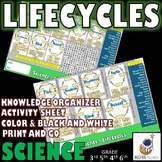 SCIENCE: Life Cycles of 8 Animal Groups - Knowledge Organi
