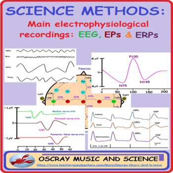 Preview of SCIENCE METHODS: Main electrophysiological brain recordings: EEG, EPs & ERPs