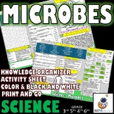 SCIENCE: Microbes -Virus bacteria algae fungi and protozoa