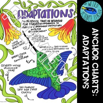 Preview of SCIENCE SCAFFOLDED NOTES/ ANCHOR CHART: ADAPTATIONS 1 Chart 6 PNG Files