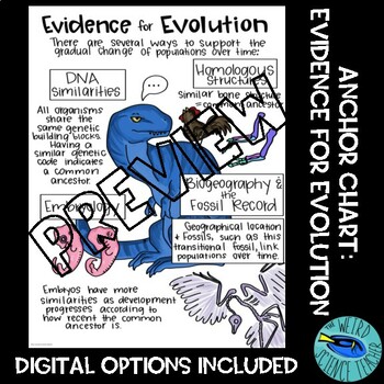 Evolution chart , Synergy chart , and Character Ability chart for