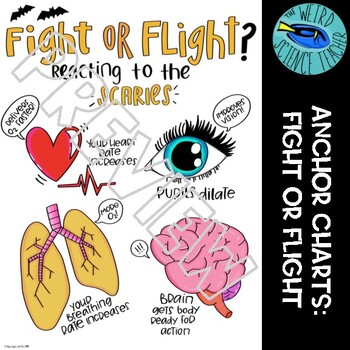 Preview of SCIENCE SCAFFOLDED NOTES/ANCHOR CHART: FIGHT OR FLIGHT