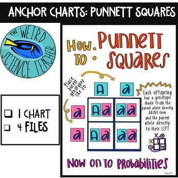 Preview of SCIENCE SCAFFOLDED NOTES/ ANCHOR CHART: HOW TO: PUNNETT SQUARE