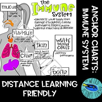 Preview of SCIENCE SCAFFOLDED NOTES /ANCHOR CHART: HUMAN BODY SYSTEMS - IMMUNE SYSTEM