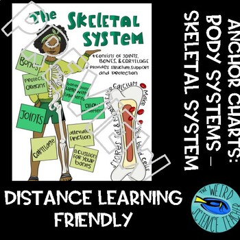 Preview of SCIENCE SCAFFOLDED NOTES/ANCHOR CHART: HUMAN BODY SYSTEMS - SKELETAL SYSTEM