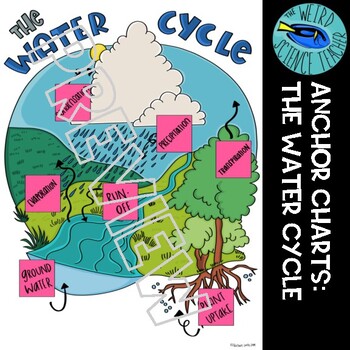 Preview of SCIENCE SCAFFOLDED NOTES  ANCHOR CHART  THE WATER CYCLE
