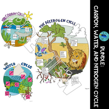 Preview of SCIENCE SCAFFOLDED NOTES/ ANCHOR CHARTS: Carbon, Nitrogen and Water Cycle