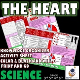 SCIENCE: The Heart and circulatory system - Knowledge Orga