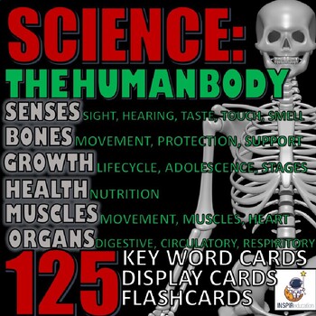 Preview of SCIENCE - The human body - 125 topic vocabulary cards in 6 units - key words
