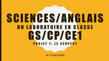 Preview of SCIENCES ANGLAIS UN LABORATOIRE EN CLASSE GS/CP/CE1 Projet 1 : le serpent