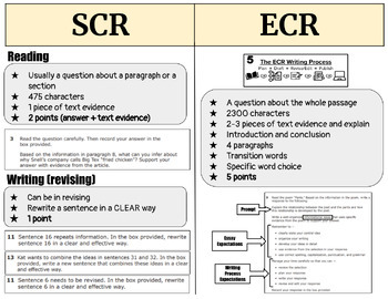 Preview of SCR vs ECR