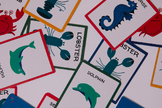 SEA ANIMALS: 3 CARD GAMES IN ONE! Memory, go fish and snap