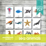 SEA ANIMALS • Montessori Cards • Flash Cards • Three Part Cards