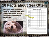 SEA OTTER: 10 facts. Fun, engaging PPT (w links & free gra