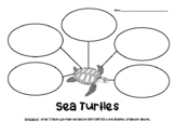 SEA TURTLES Graphic Organizer - Nonfiction