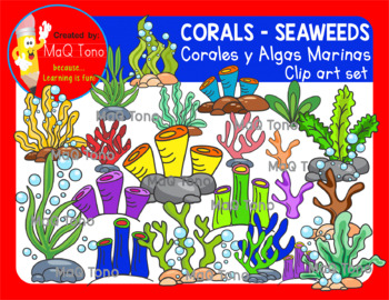 Seaweeds Coral Clipart Set By Maq Tono Teachers Pay Teachers