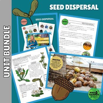 Preview of SEED DISPERSAL Bundle: Illustrated & Guided Notes | Strategy Sort | Slides