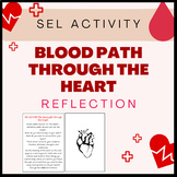 SEL Activity: Blood path through the heart