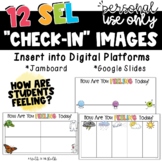 SEL Check-In Images for Google Jamboard or Google Slides