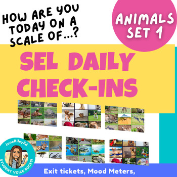 Preview of SEL Check-in: How are you feeling? ANIMALS SET 1: morning meetings | exit ticket