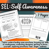 SEL MINI-UNIT: Self-awareness, self-discovery, and explori