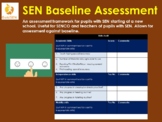 SEN Baseline Assessment