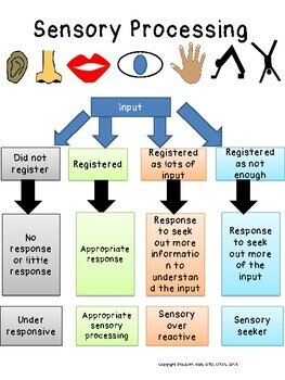 SENSORY PROCESSING 101: 5 visuals to help explain sensory processing