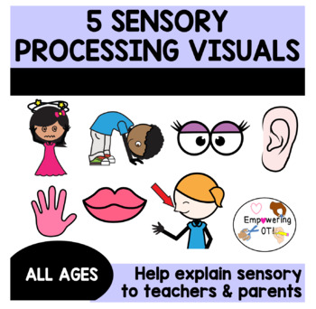Preview of SENSORY PROCESSING 101: 5 visuals to help explain sensory processing