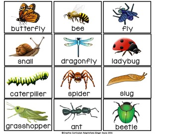 SIGHT WORD SENTENCE BUILDERS-BUGS (K-2/SPED/ELL) | TpT