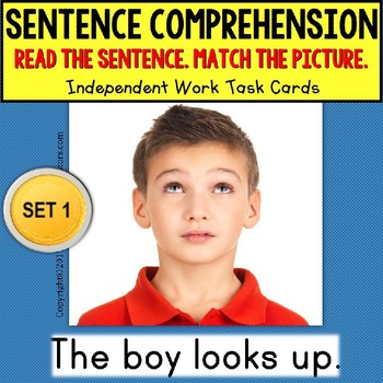 Preview of SENTENCE COMPREHENSION Reading Task Cards "Task Box Filler" for Autism SET 1