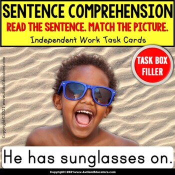 Preview of SENTENCE COMPREHENSION | Summer Objects | Task Box Filler for Special Education