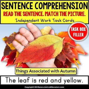 Preview of SENTENCE COMPREHENSION Things Associated with AUTUMN Task Cards TASK BOX FILLER