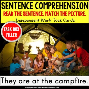 Preview of SENTENCE COMPREHENSION | Vocabulary Word Knowledge | Task Box Filler | CAMPING