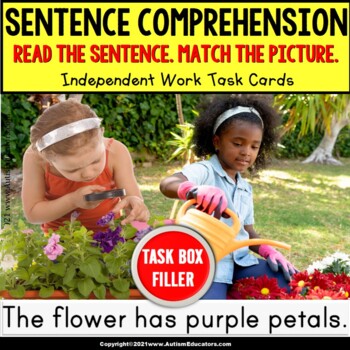 Preview of SENTENCE COMPREHENSION with Pictures for Key Details Task Box Filler GARDEN