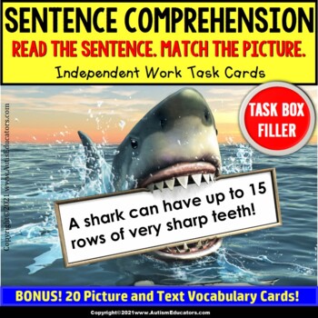 Preview of SENTENCE COMPREHENSION Vocabulary Increase Word Knowledge Task Box Filler OCEAN