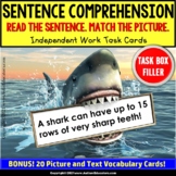 SENTENCE COMPREHENSION Vocabulary Increase Word Knowledge 
