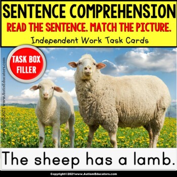 Preview of SENTENCE COMPREHENSION | Word Knowledge Task Box Filler | ANIMALS and OFFSPRING