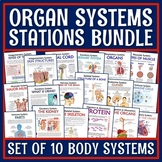 SET OF 10 Human Body Organ Systems Activity Information St