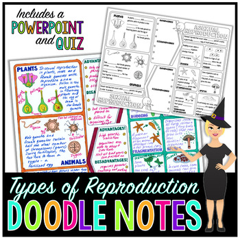 Preview of Sexual and Asexual Reproduction Doodle Notes | Science Doodle Notes