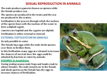 SEXUAL REPRODUCTION IN ANIMALS; EXTERNAL AND INTERNAL FERTILIZATION