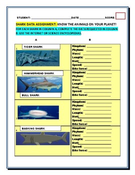 Preview of SHARKS: A RESEARCH DATA ASSIGNMENT  GRS. 4-8, SHARK WEEK, MG & SUMMER CAMP