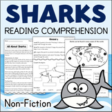 All About SHARKS Nonfiction Reading Comprehension Passage 