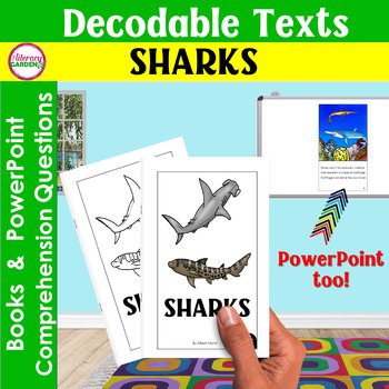 Preview of SHARKS - Reading Comprehension  Decodable Passages & Questions