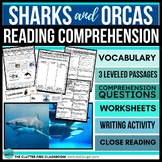 SHARKS VS ORCAS Reading Comprehension Passage with Questio