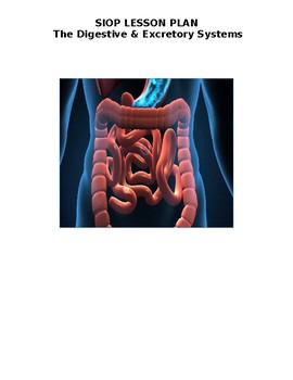 Preview of SIOP & Differentiated Lesson Plan - The Digestive System