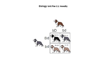 SIOP/Differentiated Unit/Daily Lesson Plan 2.1: Heredity by Best for ...