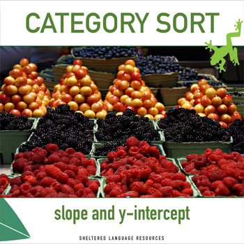 Preview of Slope and y-intercept Category Sort